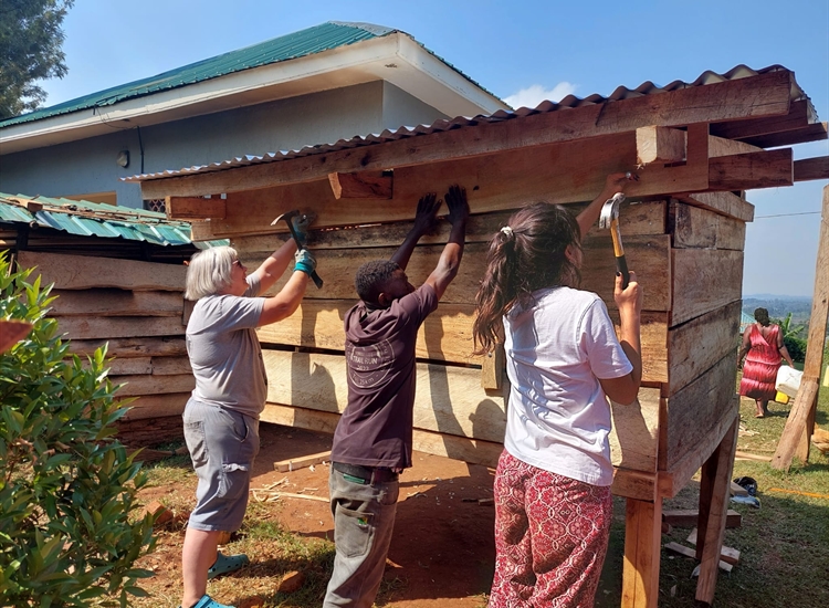 Building Chicken Coop